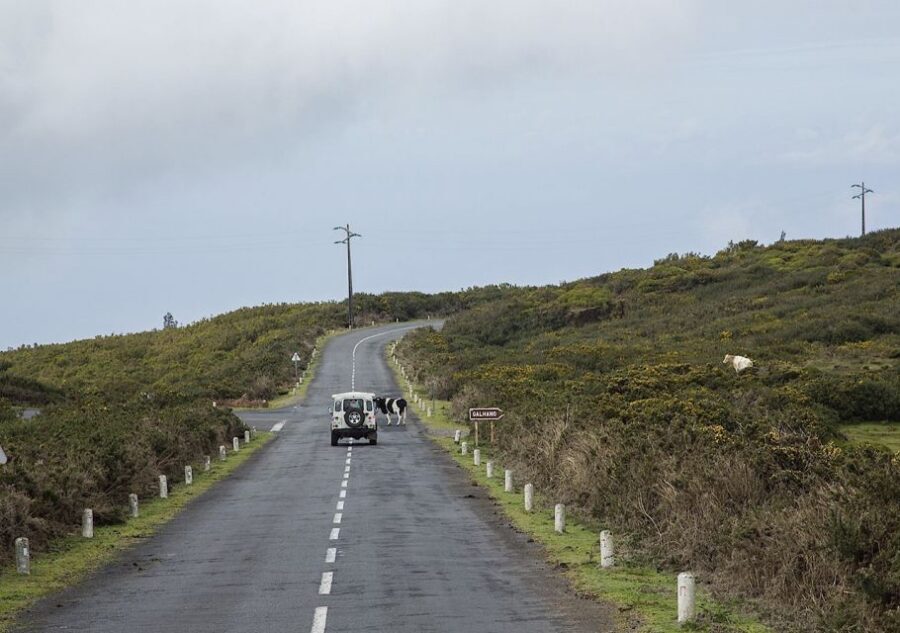 Madeira: Amazing West - Porto Moniz - Paul da Serra: the plateau stop that turns into off-road fun