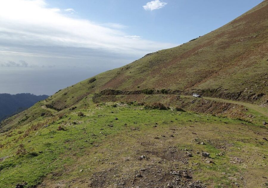 Madeira: Amazing West - Porto Moniz - Fanal Forest: short walk time, misty-forest payoff