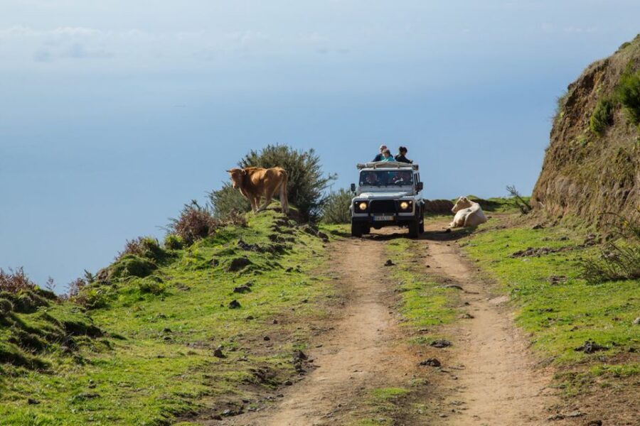 Madeira: Amazing West - Porto Moniz - Seixal and São Vicente: waterfalls and coastline views from the road