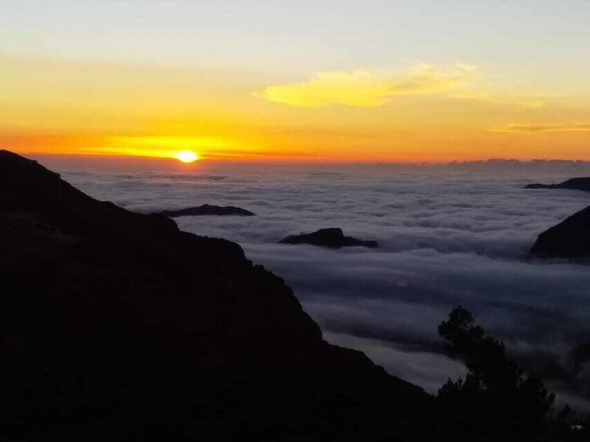 Madeira: Birdwatching - The Endemics - Key takeaways on Madeira’s endemic bird tour