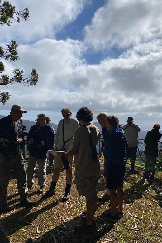 Madeira: Birdwatching - The Endemics - São Lourenço peninsula: a good place to search
