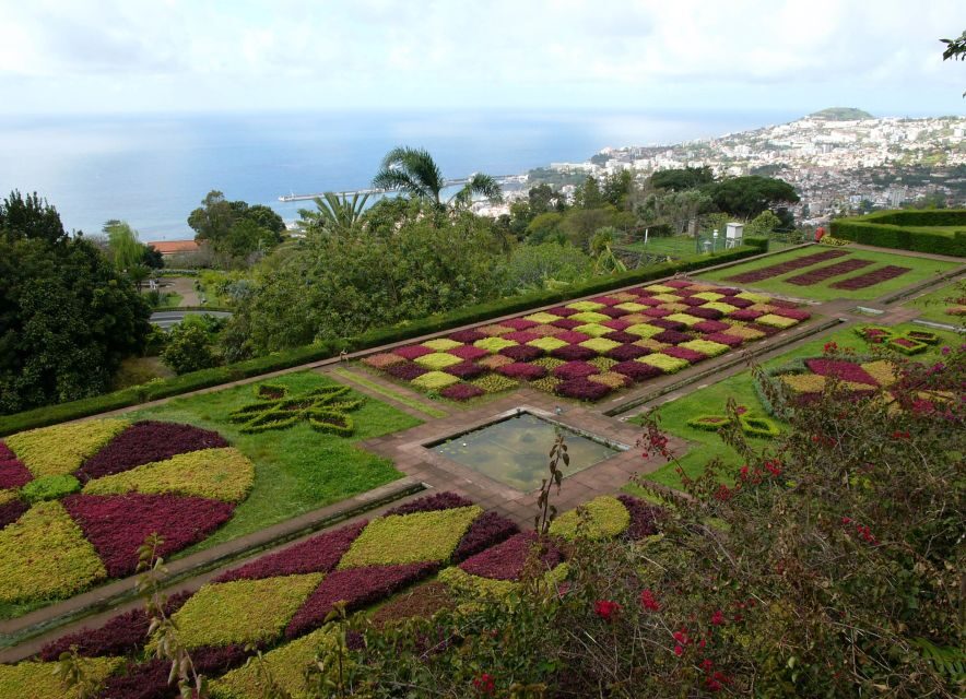 Madeira: Botanical Garden in a Tuk-Tuk Tour - Key highlights to know before you go