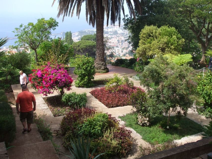 Madeira: Botanical Garden in a Tuk-Tuk Tour - Why a tuk-tuk works so well for Funchal views
