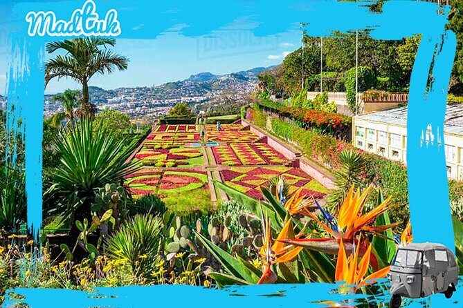 Madeira Botanical Gardens and Old Town Tuk Tuk Tour by MadTuk - Key points worth knowing
