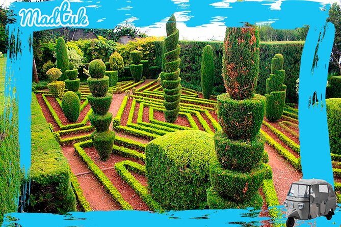 Madeira Botanical Gardens and Old Town Tuk Tuk Tour by MadTuk - The vibe: a short outing that still feels like you learned something
