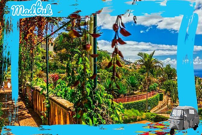 Madeira Botanical Gardens and Old Town Tuk Tuk Tour by MadTuk - Weather and timing: small tour, big sensitivity