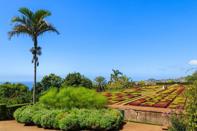 Madeira Botanical Gardens and Old Town Tuk Tuk Tour by MadTuk - Getting picked up around Funchal (and the cruise port wrinkle)