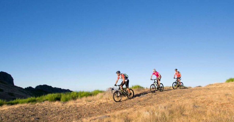 Madeira Botanical Levels Bike Tour – Scenic Trail Experience - Key things I’d book this for