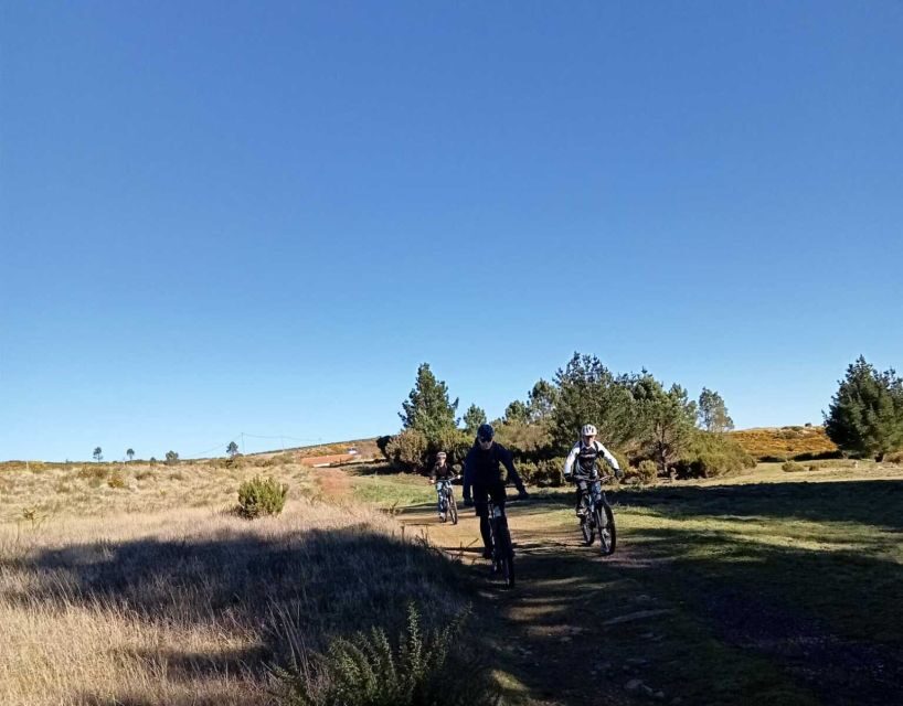 Madeira Botanical Levels Bike Tour – Scenic Trail Experience - The last 10 km descent: your braking is the star