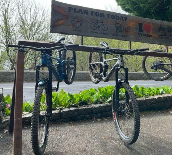 Madeira Botanical Levels Bike Tour – Scenic Trail Experience - Quick tips from the way this tour runs