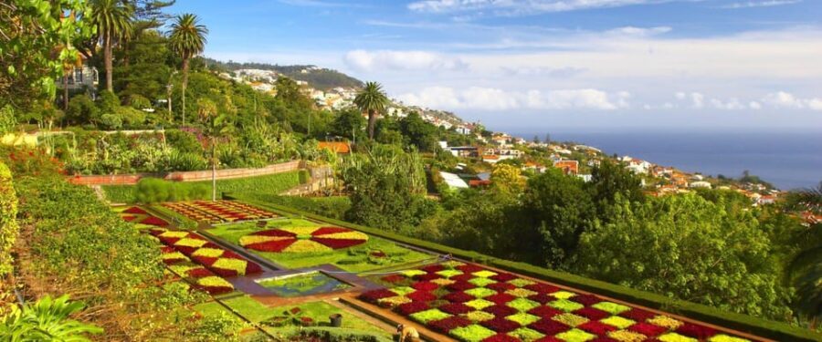 Madeira: Botanical, Monte Palace, and Palheiro Gardens - Price and Value: $176 per Group (Up to 3), Plus Entrance Fees