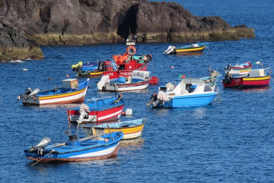 Madeira : Cabo Girao and Camara de Lobo 4WD half-day Tour - Book it or pass: my honest take
