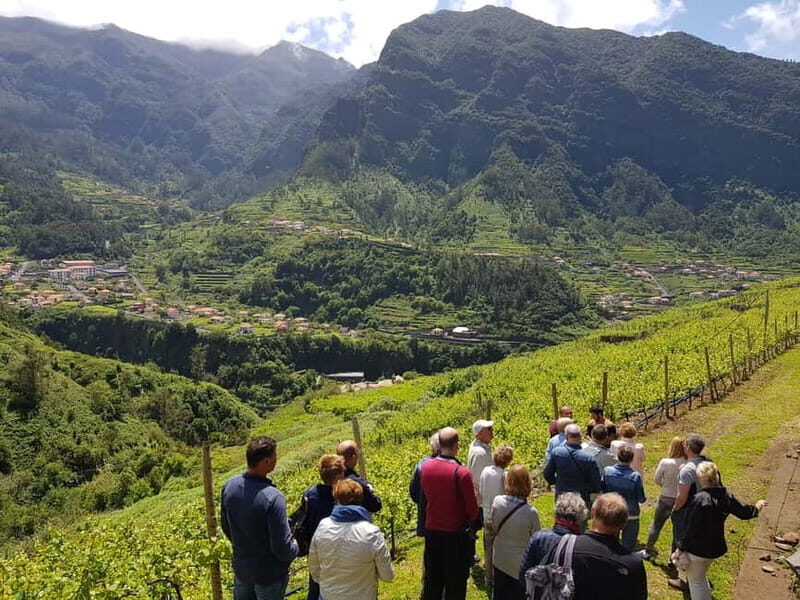 Madeira: Cabo Girão, Wines Experience and Dolphins Watching - Catamaran dolphin watching along Madeira’s south coast
