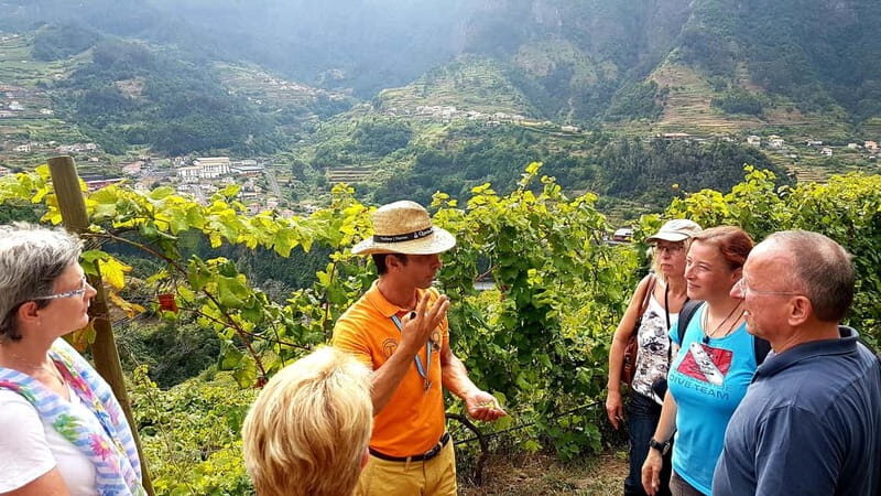 Madeira: Cabo Girão, Wines Experience and Dolphins Watching - Who should book this Madeira combo (and who should rethink)