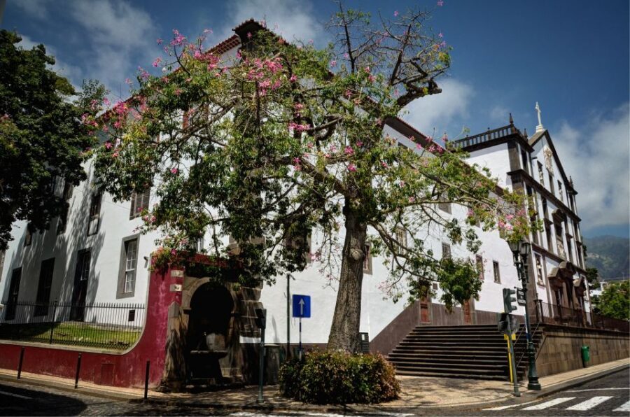 Madeira: Customized 3, 4 or 6-Hour Tour - Paredão viewpoint: the short stop that adds variety