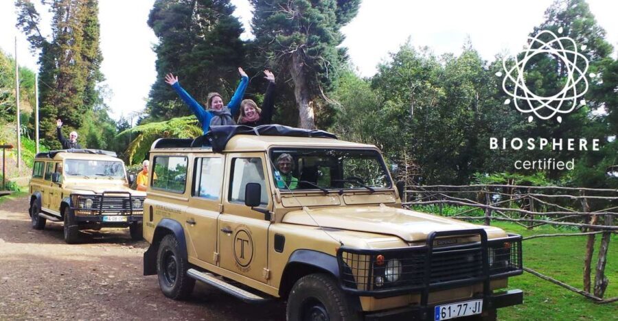 Madeira East or West Private Half-Day Tour by Open-Top Jeep - Price and Value: What $459 for Up to 6 Actually Buys