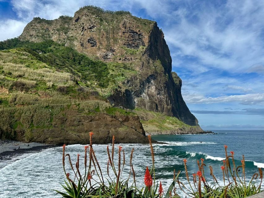 Madeira : East Tour - Santana North Side - Ribeiro Frio Forest Park: Laurissilva nature time that’s not just scenic