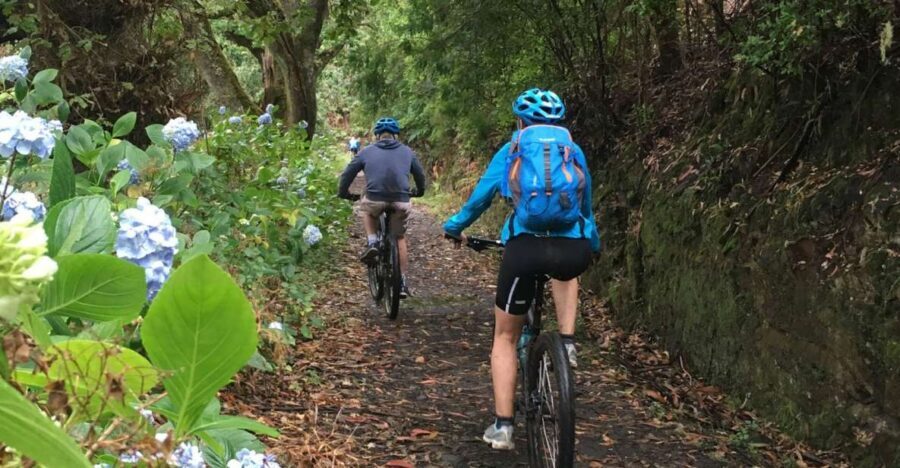 Madeira Easy Levada Biking Tour – Scenic & Relaxed - Price and value: what $82 buys (and where the savings come from)