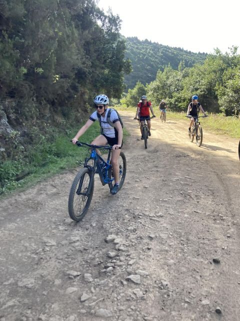 Madeira Easy Levada Biking Tour – Scenic & Relaxed - Shuttle and timing: what 4.5 hours really covers