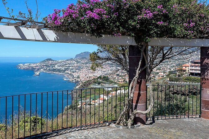 Madeira Essence Half Day Tour for Cruises - From Pontinha to the south coast: meeting point and getting oriented fast