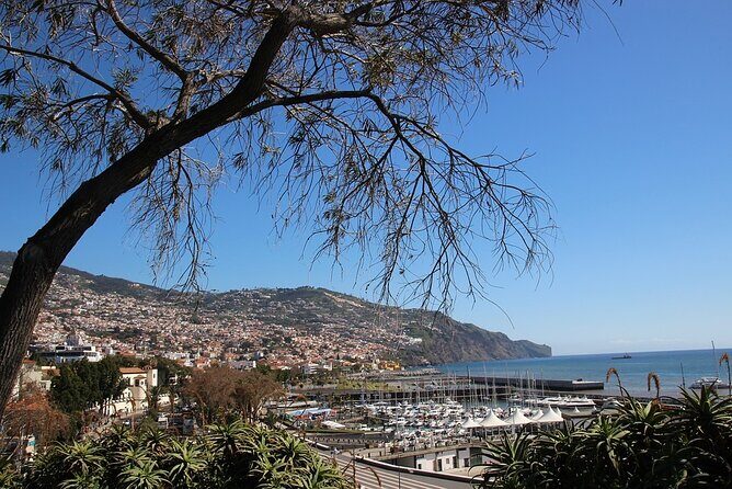 Madeira Essence Half Day Tour for Cruises - More sea views over Funchal’s bay: why the last viewpoint stop counts