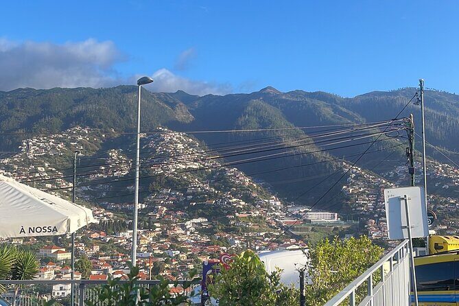 Madeira Essence Half Day Tour for Cruises - Mallassada Boutique: Madeira wine tasting and classic sweets (20 minutes)