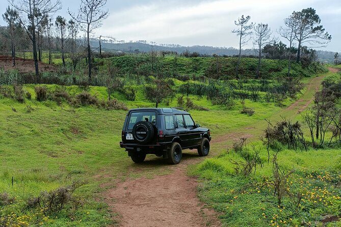 Madeira: Experiência 4WD Skywalk para Seixal Porto Moniz, Fanal - The 4WD Skywalk combo you can feel on Madeira roads