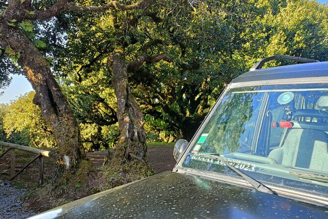 Madeira: Experiência 4WD Skywalk para Seixal Porto Moniz, Fanal - Seixal’s black-sand shore: short stop, strong vibe