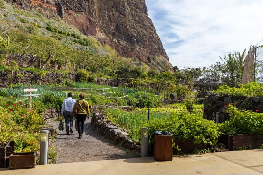 Madeira: Faja dos Padres Private Sightseeing Tour - How the rock formations shape the whole experience