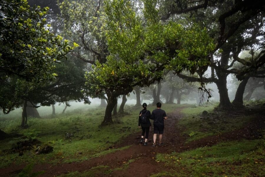 Madeira : Full Day Adult-only west 4x4 Tour - Key highlights you’ll feel on the day