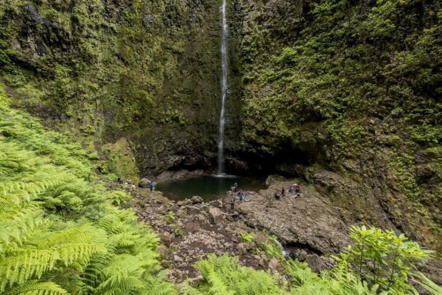 Madeira: Full-Day Laurel Forest Guided Walking Tour - What to Pack for a Moderate 12 km Day Through Tunnels