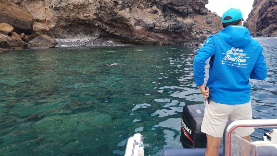 Madeira: Full-Day of Activities in Ponta de São Lourenço - The fine print that actually affects your day