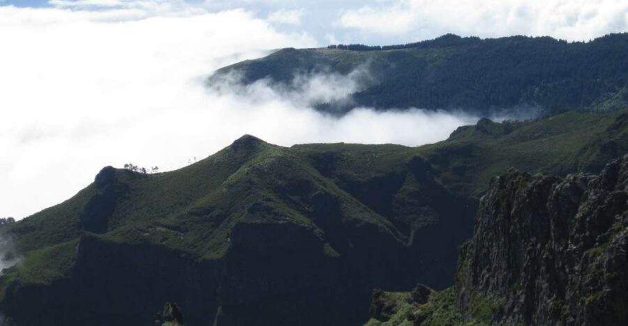 Madeira: Full-Day Pico Ruivo / Achada do Teixeira Walk - Walking Through a Heather Forest That Dates Back to Zarco’s Time