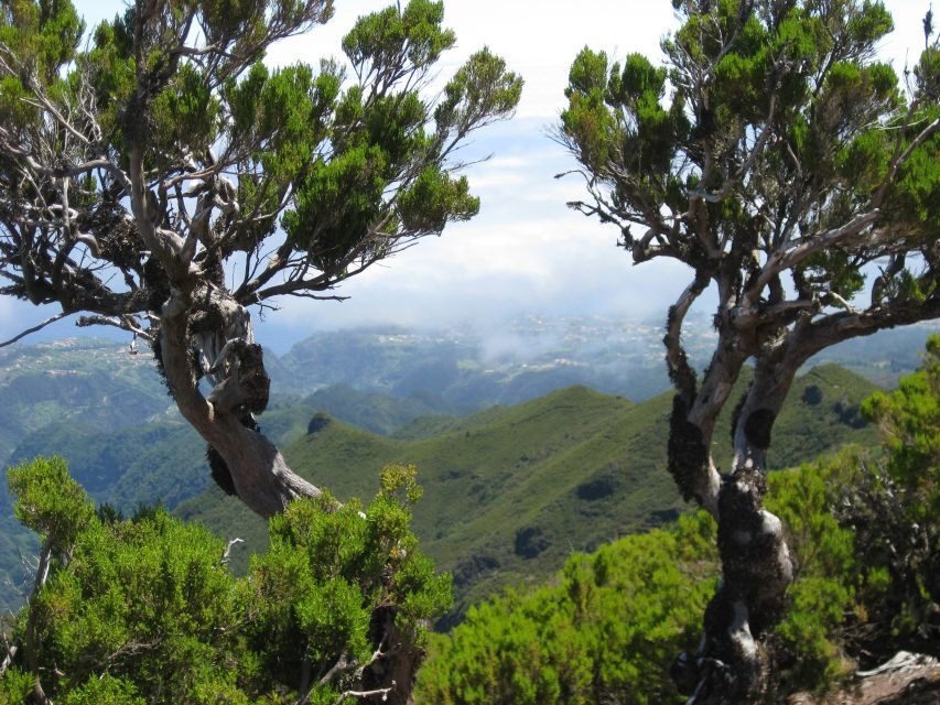Madeira: Full-Day Pico Ruivo / Achada do Teixeira Walk - Finishing at Achada do Teixeira Instead of Turning Back