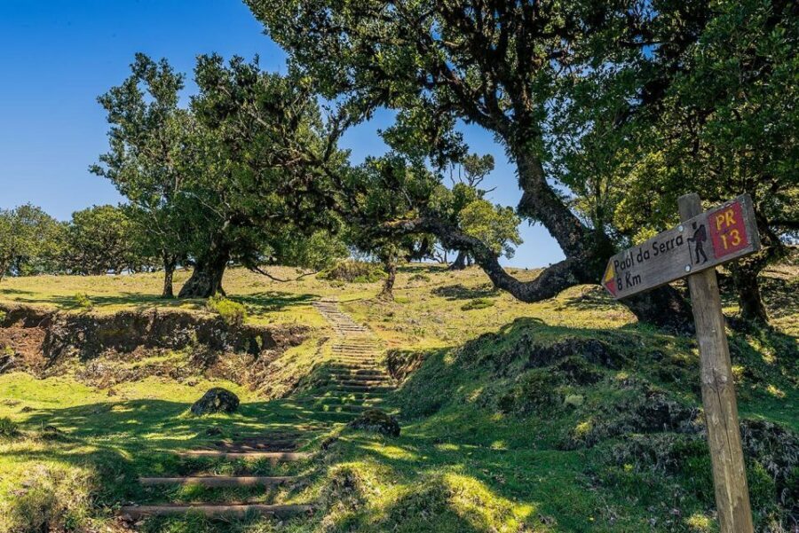 Madeira: Full-Day Porto Moniz Jeep Tour - Key points at a glance