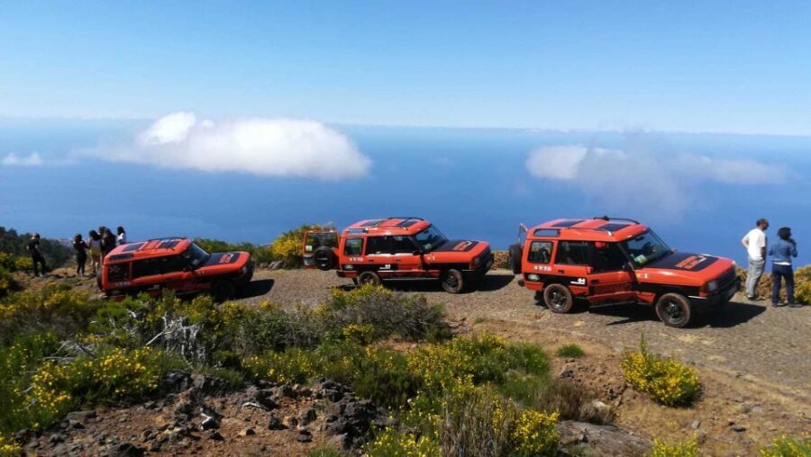 Madeira: Full-Day Porto Moniz Jeep Tour - Getting out of Funchal: the pace that matters before the big views
