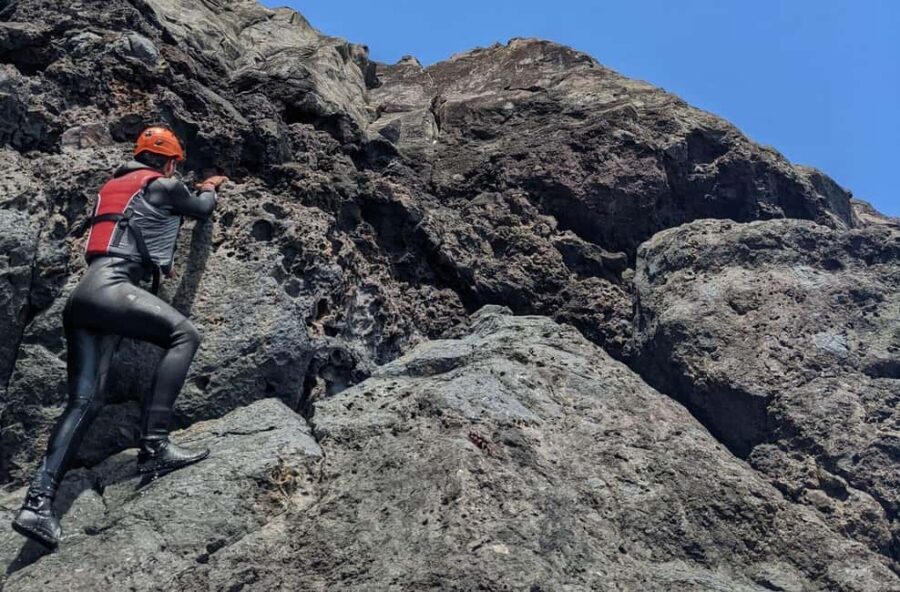 Madeira: Garajau Coastal Hike and Cliff Jumping - Key highlights you’ll actually care about