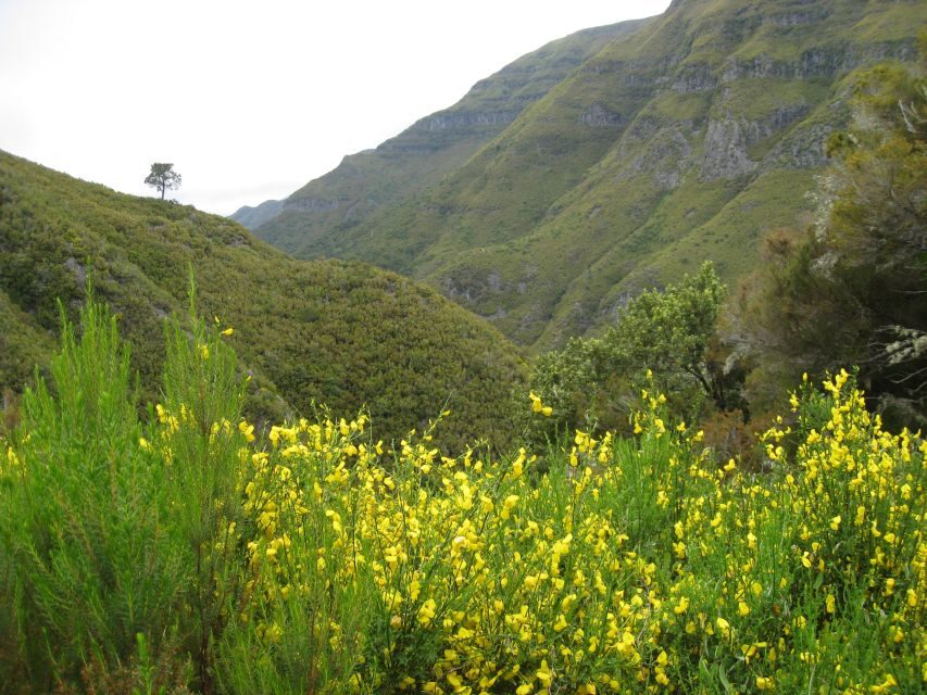 Madeira: Guided Full-Day Rabaçal Walk - Key points before you go