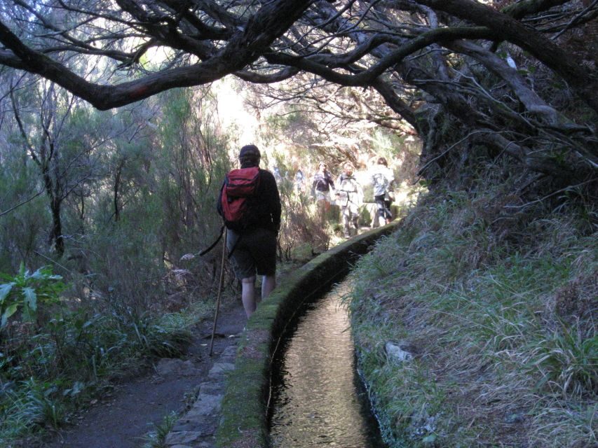 Madeira: Guided Full-Day Rabaçal Walk - Why the Rabaçal walk is a smart Madeira day