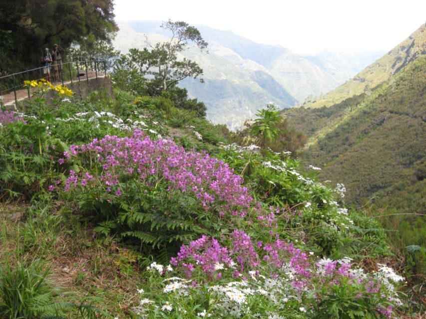 Madeira: Guided Full-Day Rabaçal Walk - Risco Waterfall: the early payoff
