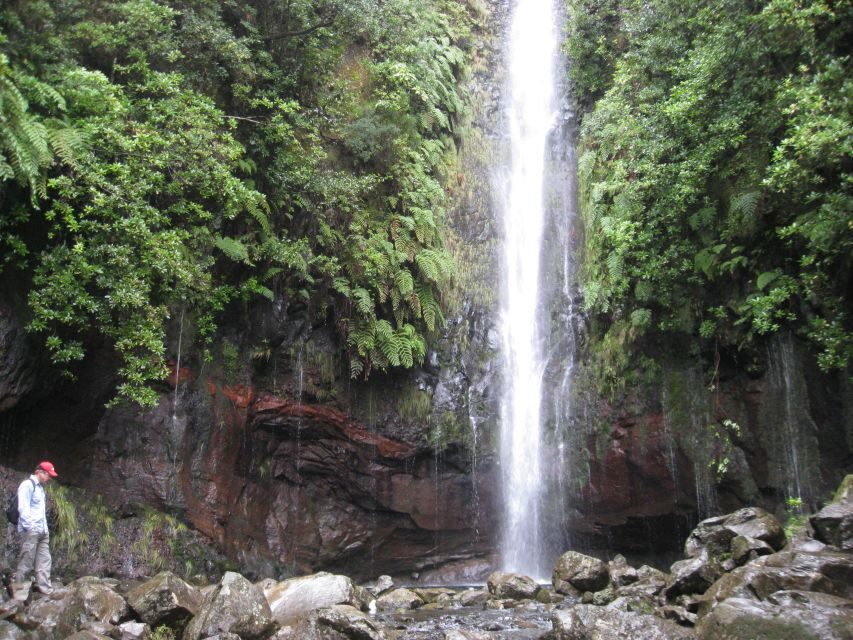 Madeira: Guided Full-Day Rabaçal Walk - Levada dos 25 Fontes: walking next to the island’s water system