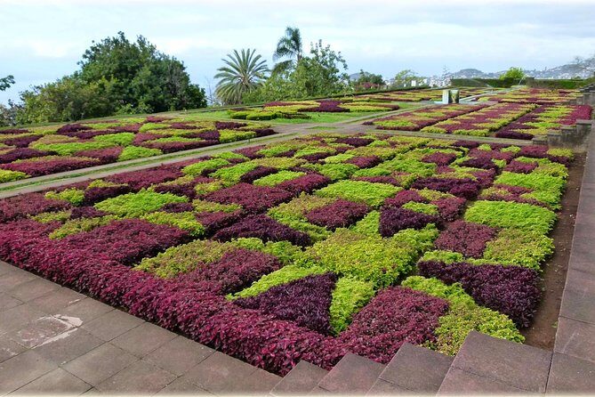 Madeira Highlights: Toboggan, Garden & Cable Car (All-Inclusive) - Views over Funchal: when the day hits its best angles
