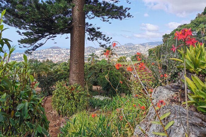 Madeira Highlights: Toboggan, Garden & Cable Car (All-Inclusive) - Timing tips and what to pack for a smooth Monte day