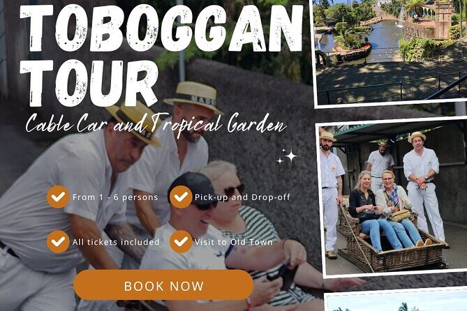 Madeira Highlights: Toboggan, Garden & Cable Car (All-Inclusive) - Madeira Botanical Garden at Monte Palace: walking, plants, and surprising variety