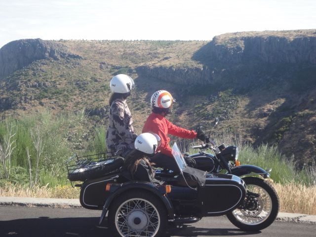 Madeira Island: 3-Hour Old Road Tour by Sidecar - Key things that make this Old Road sidecar tour worth your time