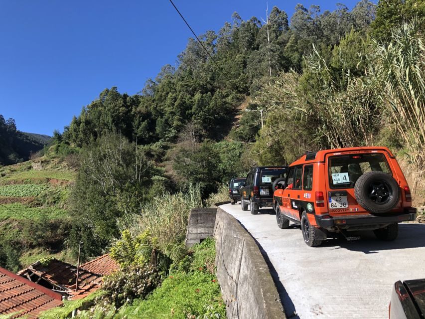 Madeira Island: Full-Day Guided Tour of Eastern Madeira - Ribeiro Frio and Laurissilva: Trout Ponds Plus a Real Forest Feeling