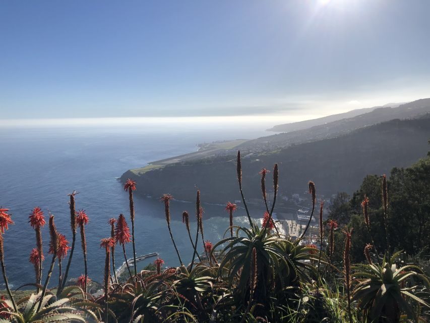 Madeira Island: Full-Day Guided Tour of Eastern Madeira - Santana’s Straw-Roof Houses: Heritage You Can Actually See