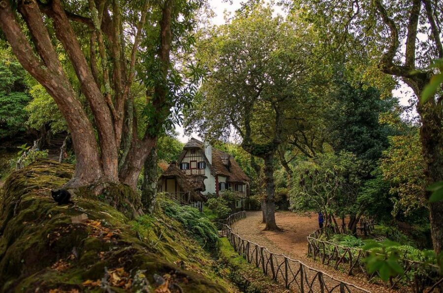Madeira Island: Full-Day Guided Tour of Eastern Madeira - Caniçal: Eastern Tip Cliffs and a Whaling-Era Memory