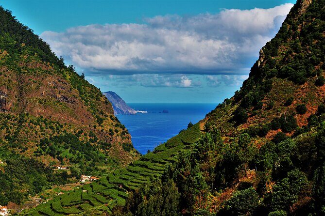Madeira Island Private Wine Full-day Tour in all terrain vehicle - Riding Madeira’s Real Roads in a Restored 4x4