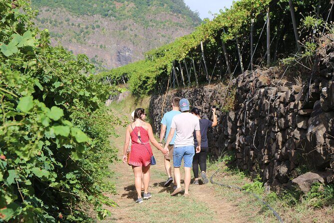 Madeira Island Private Wine Full-day Tour in all terrain vehicle - Cabo Girão (Optional): The Glass Platform Moment